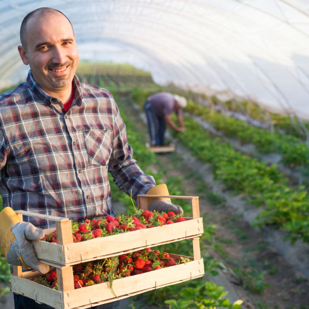 виза-для-сезонной-деятельности